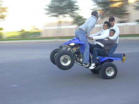 lybiste  ketzen amine youssef